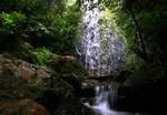 Day Trip to La Tigra and El Picacho Park