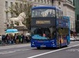 London Hop-On Hop-Off Bus Ticket Options