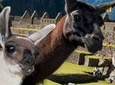 MachuPicchu Private Day Tour