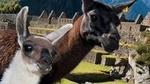 MachuPicchu Private Day Tour