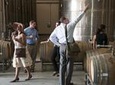 Private Tour: Maipo Valley For Wine Lovers