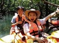 Mangrove Forest Kayaking Tour from Langkawi