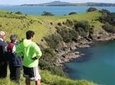 Private Maori Walking Tour with Wine Tasting and Lunch