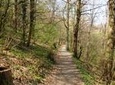 Medvednica Hiking and Chestnuts Picking Tour from Zagreb
