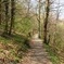 Medvednica Hiking and Chestnuts Picking Tour from Zagreb