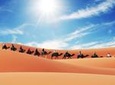 Merzouga Camel Trek for an Overnight in desert