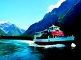 Milford Sound Nature Cruise