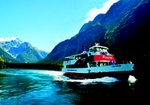 Milford Sound Nature Cruise