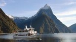 Cruise Milford NZ Small Boutique Cruise Experience