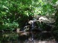 Montseny Guided Hiking Tour from Barcelona with Organic-friendly Lunch
