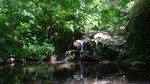 Montseny Guided Hiking Tour from Barcelona with Organic-friendly Lunch