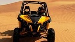 Private Dune Buggy Adventure with Sand boarding and Refreshments from Dubai