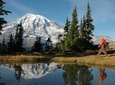 Best of Mt Rainier National Park from Seattle: All-Inclusive Small Group Tour.