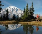Best of Mt Rainier National Park from Seattle: All-Inclusive Small Group Tour.