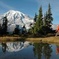 Best of Mt Rainier National Park from Seattle: All-Inclusive Small Group Tour.