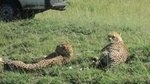 Nairobi National Park Tour