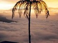 Visit to Chicaque Natural Park Private Tour from Bogotá. (8 Hrs.)