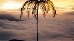 Visit to Chicaque Natural Park Private Tour from Bogotá. (8 Hrs.)