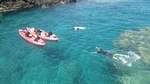 4-hours Ocean Kayak Tours from Hawaii