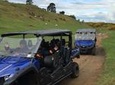 Off-Road 4WD Buggy Adventure from Rotorua