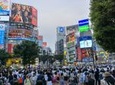 One Day Highlights Tour of Tokyo including Shibuya Sky Tickets