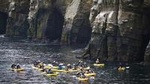 Original La Jolla Sea Cave Kayak Tour for Two