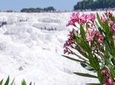Pamukkale Day Tour from Selcuk