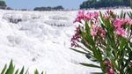 Pamukkale Day Tour from Selcuk