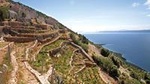 Peljesac Vineyards - Private Excursion from Dubrovnik with Mercedes Vehicle