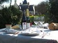 Picnic in the Vines - A Unique Loire Wine Experience