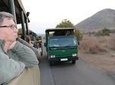 Pilanesberg National Park Safari from Johannesburg