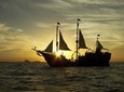 Pirate Night Show with Dinner (chicken) in Cancun (2x1)