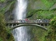 Morning Half-Day Multnomah Falls and Columbia River Gorge Waterfalls Tour from Portland