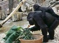 Prague Zoo Admission Ticket including Round Trip Transfer