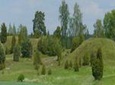 Private Tour: Swedish Iron Age Excursion from Stockholm 3h