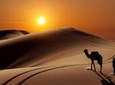 Private 5 Day Desert Escape From Marrakech