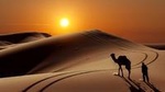 Private 5 Day Desert Escape From Marrakech