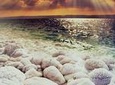 6-Night Dead Sea Escape with Transport from Amman