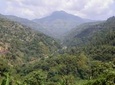 Private Blue Mountain Tour with Hotel Transportation