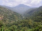 Private Blue Mountain Tour with Hotel Transportation