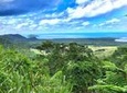 Private Daintree National Park Day Tour from Cairns Including Cape Tribulation and Mossman Gorge