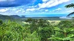 Private Daintree National Park Day Tour from Cairns Including Cape Tribulation and Mossman Gorge
