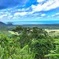 Private Daintree National Park Day Tour from Cairns Including Cape Tribulation and Mossman Gorge