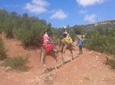 Private Day Trip from Marrakech: Camel Ride and Hike in the High Atlas Mountains