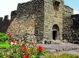 Private Tour: Full-Day Islamic Desert Castles and Ajloun Castle Trip from Amman