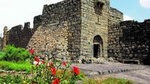 Private Tour: Full-Day Islamic Desert Castles and Ajloun Castle Trip from Amman