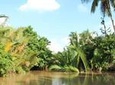 Private Mekong Delta Tour Including biking on Ben Tre - The Original Mekong