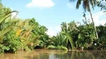 Private Mekong Delta Tour Including biking on Ben Tre - The Original Mekong