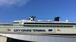Southampton Cruise Terminals to London Private Arrival Transfer
