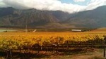 Private Shore Excursion: Cape Winelands Tour from Cape Town